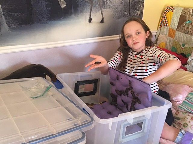 Kecoa-Kecoa Unyu, Kesayangan Gadis 10 Tahun